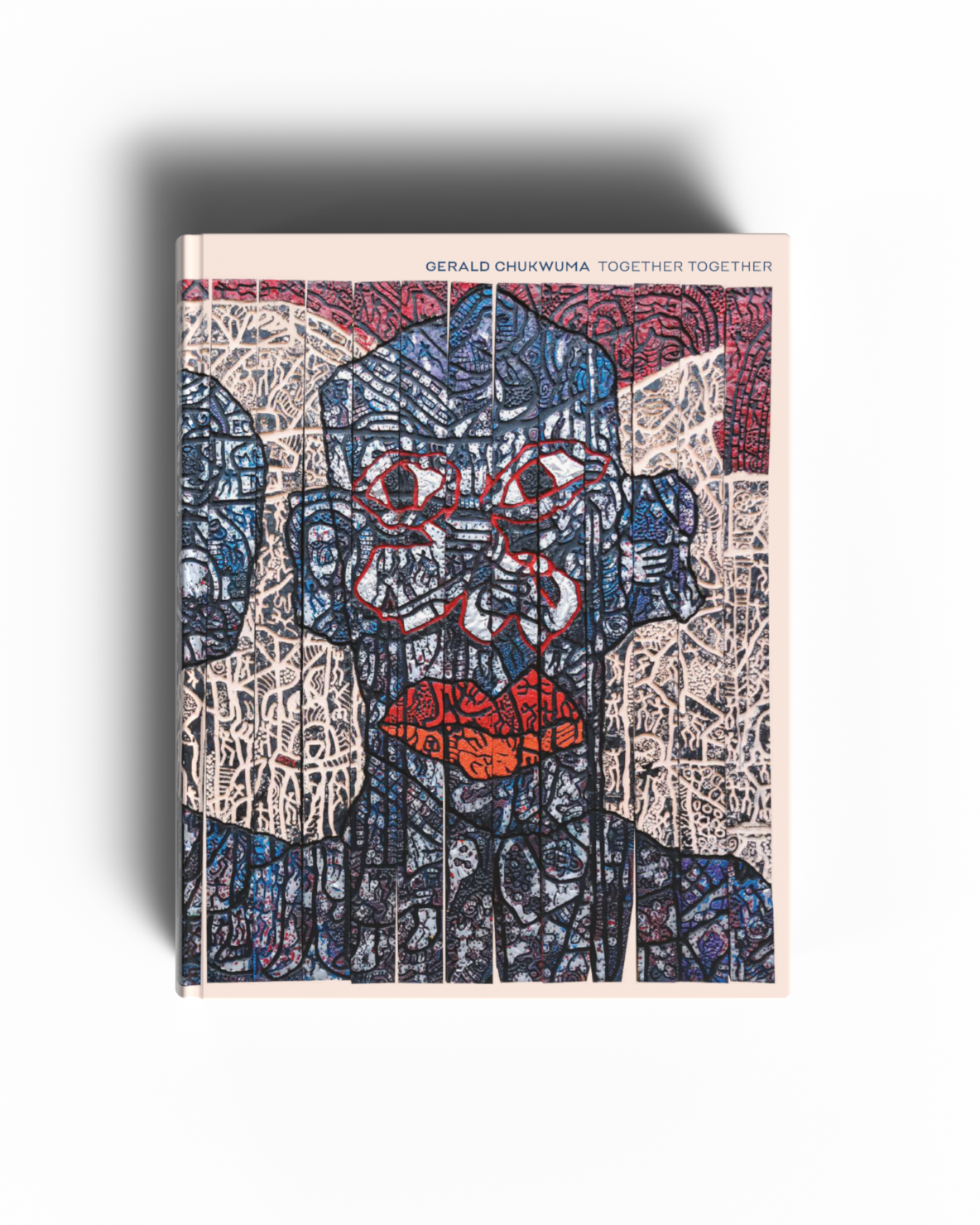 Book cover with abstract design and text on a white background
